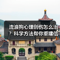 流浪狗心理创伤怎么治?科学方法帮你重建信任(图4) 流浪狗心理创伤怎么治?科学方法帮你重建信任(图4)
