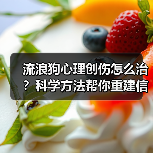 流浪狗心理创伤怎么治？科学方法帮你重建信任 - 辰飞雨新生家伴