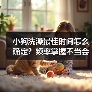 小狗洗澡最佳时间怎么确定?频率掌握不当会有哪些风险?(图2) 小狗洗澡最佳时间怎么确定?频率掌握不当会有哪些风险?(图2)