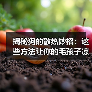 揭秘狗的散热妙招:这些方法让你的毛孩子凉快一夏(图1) 揭秘狗的散热妙招:这些方法让你的毛孩子凉快一夏(图1)