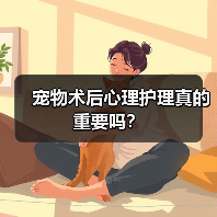 宠物术后心理护理真的重要吗?(图3) 宠物术后心理护理真的重要吗?(图2)