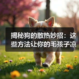 揭秘狗的散热妙招:这些方法让你的毛孩子凉快一夏(图3) 揭秘狗的散热妙招:这些方法让你的毛孩子凉快一夏(图3)