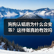 狗狗认错后为什么会变乖?这样做真的有效吗?(图3) 狗狗认错后为什么会变乖?这样做真的有效吗?(图3)