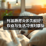 柯基肠胃炎多久能好?饮食与生活习惯对康复时间的影响(图1) 柯基肠胃炎多久能好?饮食与生活习惯对康复时间的影响(图1)