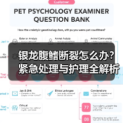 银龙腹鳍断裂怎么办？紧急处理与护理全解析(图1)