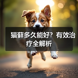 猫藓多久能好？有效治疗全解析(图1)