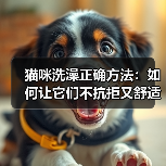猫咪洗澡正确方法：如何让它们不抗拒又舒适？(图1)