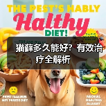 猫藓多久能好？有效治疗全解析(图3)