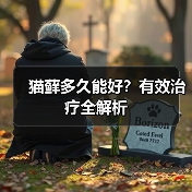 猫藓多久能好？有效治疗全解析(图4)