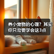 养小宠物的心理？其实你只需要学会这3点 - 辰飞雨新生家伴