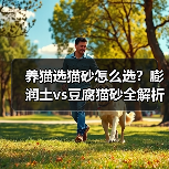 养猫选猫砂怎么选?膨润土vs豆腐猫砂全解析(图1) 养猫选猫砂怎么选?膨润土vs豆腐猫砂全解析(图1)