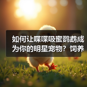 如何让喋喋吸蜜鹦鹉成为你的明星宠物?饲养全攻略(图1) 如何让喋喋吸蜜鹦鹉成为你的明星宠物?饲养全攻略(图1)