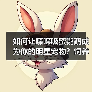 如何让喋喋吸蜜鹦鹉成为你的明星宠物?饲养全攻略(图3) 如何让喋喋吸蜜鹦鹉成为你的明星宠物?饲养全攻略(图3)