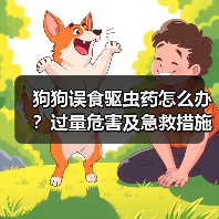 狗狗误食驱虫药怎么办?过量危害及急救措施全解析(图3) 狗狗误食驱虫药怎么办?过量危害及急救措施全解析(图3)