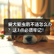 爱犬驱虫后不适怎么办?这3点必须牢记!(图2) 爱犬驱虫后不适怎么办?这3点必须牢记!(图1)