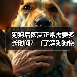 狗狗后恢复正常需要多长时间？（了解狗狗恢复时间的关键因素和注意事项）(图1)