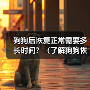 狗狗后恢复正常需要多长时间？（了解狗狗恢复时间的关键因素和注意事项）(图2)