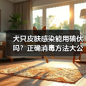 犬只皮肤感染能用碘伏吗?正确消毒方法大公开(图4) 犬只皮肤感染能用碘伏吗?正确消毒方法大公开(图4)