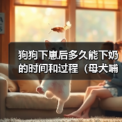 狗狗下崽后多久能下奶的时间和过程（母犬哺乳期的重要性和注意事项）(图2)