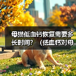 母猫低血钙恢复需要多长时间？（低血钙对母猫健康的影响及恢复所需时间）(图2)