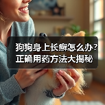 狗狗身上长癣怎么办?正确用药方法大揭秘(图2) 狗狗身上长癣怎么办?正确用药方法大揭秘(图2)