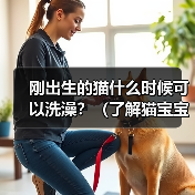 刚出生的猫什么时候可以洗澡?(了解猫宝宝洗澡的最佳时机及注意事项)(图2) 刚出生的猫什么时候可以洗澡?(了解猫宝宝洗澡的最佳时机及注意事项)(图2)