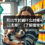 刚出生的猫什么时候可以洗澡?(了解猫宝宝洗澡的最佳时机及注意事项)(图1) 刚出生的猫什么时候可以洗澡?(了解猫宝宝洗澡的最佳时机及注意事项)(图1)