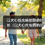 以犬心丝虫病的致命时长(以犬心丝虫病的悲剧)(图1) 以犬心丝虫病的致命时长(以犬心丝虫病的悲剧)(图1)