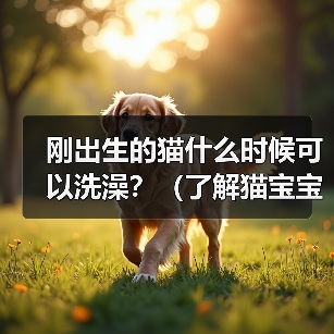 刚出生的猫什么时候可以洗澡?(了解猫宝宝洗澡的最佳时机及注意事项)(图3) 刚出生的猫什么时候可以洗澡?(了解猫宝宝洗澡的最佳时机及注意事项)(图3)