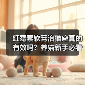 红霉素软膏治猫癣真的有效吗?养猫新手必看(图2) 红霉素软膏治猫癣真的有效吗?养猫新手必看(图2)