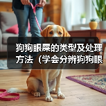 狗狗眼屎的类型及处理方法(学会分辨狗狗眼屎,保护它们的眼睛健康)(图2) 狗狗眼屎的类型及处理方法(学会分辨狗狗眼屎,保护它们的眼睛健康)(图2)