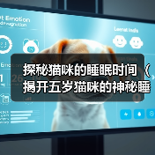 探秘猫咪的睡眠时间（揭开五岁猫咪的神秘睡眠时间，探索背后的科学原因和影响）(图3)
