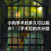 小狗手术后多久可以喝水？（手术后的水分摄取是关键，注意饮水时间和方式）(图3)