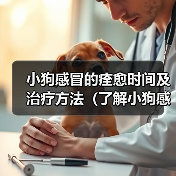 小狗感冒的痊愈时间及治疗方法(了解小狗感冒的治愈时间是关键,帮助你的宠物尽快康复)(图1) 小狗感冒的痊愈时间及治疗方法(了解小狗感冒的治愈时间是关键,帮助你的宠物尽快康复)(图1)