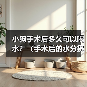 小狗手术后多久可以喝水？（手术后的水分摄取是关键，注意饮水时间和方式）(图2)