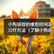 小狗感冒的痊愈时间及治疗方法(了解小狗感冒的治愈时间是关键,帮助你的宠物尽快康复)(图2) 小狗感冒的痊愈时间及治疗方法(了解小狗感冒的治愈时间是关键,帮助你的宠物尽快康复)(图2)