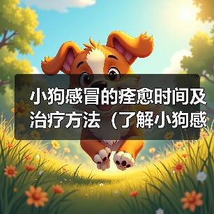 小狗感冒的痊愈时间及治疗方法(了解小狗感冒的治愈时间是关键,帮助你的宠物尽快康复)(图3) 小狗感冒的痊愈时间及治疗方法(了解小狗感冒的治愈时间是关键,帮助你的宠物尽快康复)(图3)
