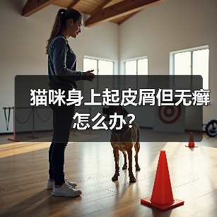 猫咪身上起皮屑但无癣怎么办？(图1)
