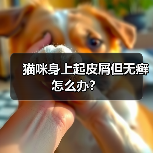 猫咪身上起皮屑但无癣怎么办？(图2)