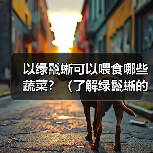 以绿鬣蜥可以喂食哪些蔬菜?(了解绿鬣蜥的蔬菜食谱,保持它们的健康与活力。)(图3) 以绿鬣蜥可以喂食哪些蔬菜?(了解绿鬣蜥的蔬菜食谱,保持它们的健康与活力。)(图3)