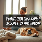 狗狗尾巴真菌感染溃烂怎么办?这样处理最有效!(图4) 狗狗尾巴真菌感染溃烂怎么办?这样处理最有效!(图4)