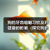 狗的牙齿咀嚼习惯及对健康的影响(探究狗的牙齿咀嚼习惯以及如何保持口腔健康)(图2) 狗的牙齿咀嚼习惯及对健康的影响(探究狗的牙齿咀嚼习惯以及如何保持口腔健康)(图2)