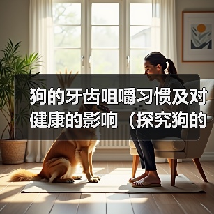 狗的牙齿咀嚼习惯及对健康的影响(探究狗的牙齿咀嚼习惯以及如何保持口腔健康)(图1) 狗的牙齿咀嚼习惯及对健康的影响(探究狗的牙齿咀嚼习惯以及如何保持口腔健康)(图1)