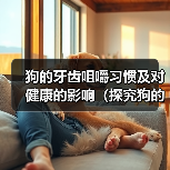 狗的牙齿咀嚼习惯及对健康的影响(探究狗的牙齿咀嚼习惯以及如何保持口腔健康)(图3) 狗的牙齿咀嚼习惯及对健康的影响(探究狗的牙齿咀嚼习惯以及如何保持口腔健康)(图3)