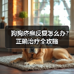 狗狗疥癣反复怎么办?正确治疗全攻略(图1) 狗狗疥癣反复怎么办?正确治疗全攻略(图1)