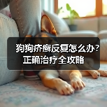 狗狗疥癣反复怎么办?正确治疗全攻略(图3) 狗狗疥癣反复怎么办?正确治疗全攻略(图3)