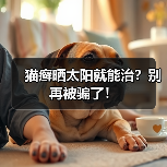 猫癣晒太阳就能治?别再被骗了!(图3) 猫癣晒太阳就能治?别再被骗了!(图3)