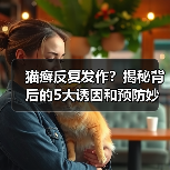 猫癣反复发作?揭秘背后的5大诱因和预防妙招(图2) 猫癣反复发作?揭秘背后的5大诱因和预防妙招(图2)