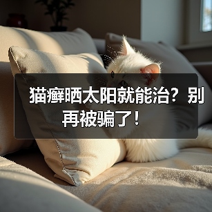猫癣晒太阳就能治?别再被骗了!(图4) 猫癣晒太阳就能治?别再被骗了!(图4)