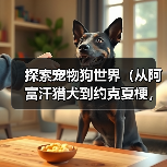 探索宠物狗世界(从阿富汗猎犬到约克夏梗,了解世界各地的宠物狗种类)(图1) 探索宠物狗世界(从阿富汗猎犬到约克夏梗,了解世界各地的宠物狗种类)(图1)